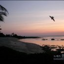 귀거래사 이미지