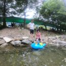 여주-0884 네이버블로그