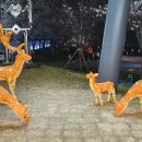 대덕식당 이미지