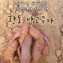 석화산농장