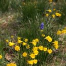 종명랜드 이미지