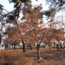 새들한의원 이미지