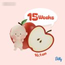 경기도 수원시 장안구 팔달로279번길 | [일상] 내 이름은 김돼지! 꿀꿀🐷