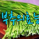 자이언츠주유소 이미지