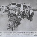 오늘독 이미지