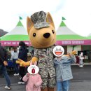K2 통영점 | 2023년 진해군항제 방문후기(2023.03.25) - 주차, 이동, 부대공개행사, 중원로터리, 시티투어버스, 경화...