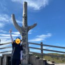 한라산공인중개사사무소 이미지