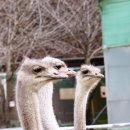 순호농장 이미지