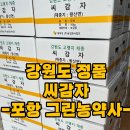 경상북도농약사 이미지