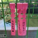큰황골가든 | [전북완주] 운주계곡추천 큰황골가든