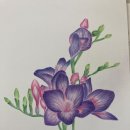 어반스캐치 이미지