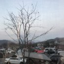 천문대오토펜션 이미지