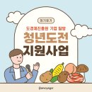 호저로 | [청도지일기] 담당자님 누르지 마세요 – 강원특별자치도경제진흥원 탐방 후기