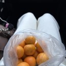 복심농장 이미지