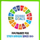 여수 스티카