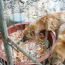 민원농장 이미지