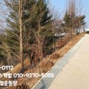 창녕공설운동장 네이버블로그