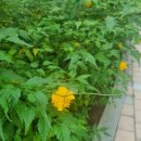 구리시공동체사회적경제지원센터 이미지