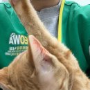 덕포맛동산 | #1 동물권자유 너와 _ 유기견,유기묘 봉사 후기