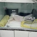 개금동물병원 이미지