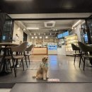 스톤 | 안양 비산동 애견동반 카페 - &lt;카페 크림스톤&gt; 내돈내산 후기