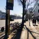 성심생고기 이미지