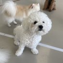 하울팟 한남점 이미지