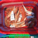 와룡호