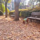 보배 어린이공원 이미지