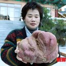 괴정3동-5 이미지