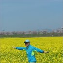 대저생태공원 이미지