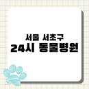 아이윌24시동물병원 | [전국 24시 동물병원 지도 #4] 서울 서초구 응급 진료 가능한 동물병원 BEST 3
