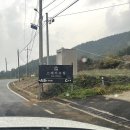 스테이 프랑 이미지