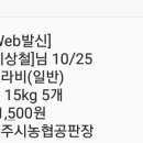 콜라비 15kg 이벤트 합니다 이미지