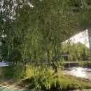 평화2(모험놀이터) 이미지