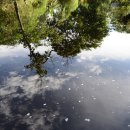 솔솔농장 이미지