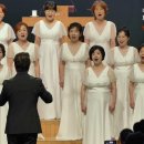 여정(손경민 곡, 백소영 편) 대구cts여성선교합창단 제4회 정기연주회 공연실황/ 지휘 김유환 반주 권희정 이미지