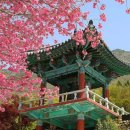 와룡산청룡사앞 이미지