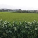 새순천축산 이미지