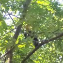 진주체육공원 이미지