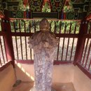 영천 조치우 옥비 이미지