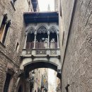 야경코스 | 스페인 바르셀로나 고딕지구 야경투어 내돈내산 후기 코스