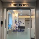 파랑새발달클리닉