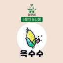 농부심 - 전주시 완산구 서원로 145 | 농부심