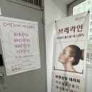 다일리아 | 신당역 에스테틱 추천 | 다알리아에스테틱 등관리 후기 (라운드숄더, 승모 고민해결✨)