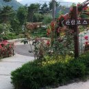 전남대학교 행정대학원 이미지