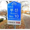 낙동제방 이미지