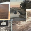 해당화피는아침 이미지