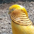 광주조류원 이미지