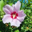 서귀포시니어클럽 이미지